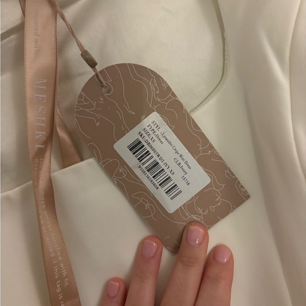 Meshki Ivory Mini Dress - Picture 4 of 4